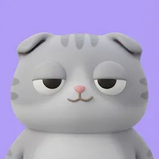 연보라 배경에 접힌 귀를 가진 회색 고양이